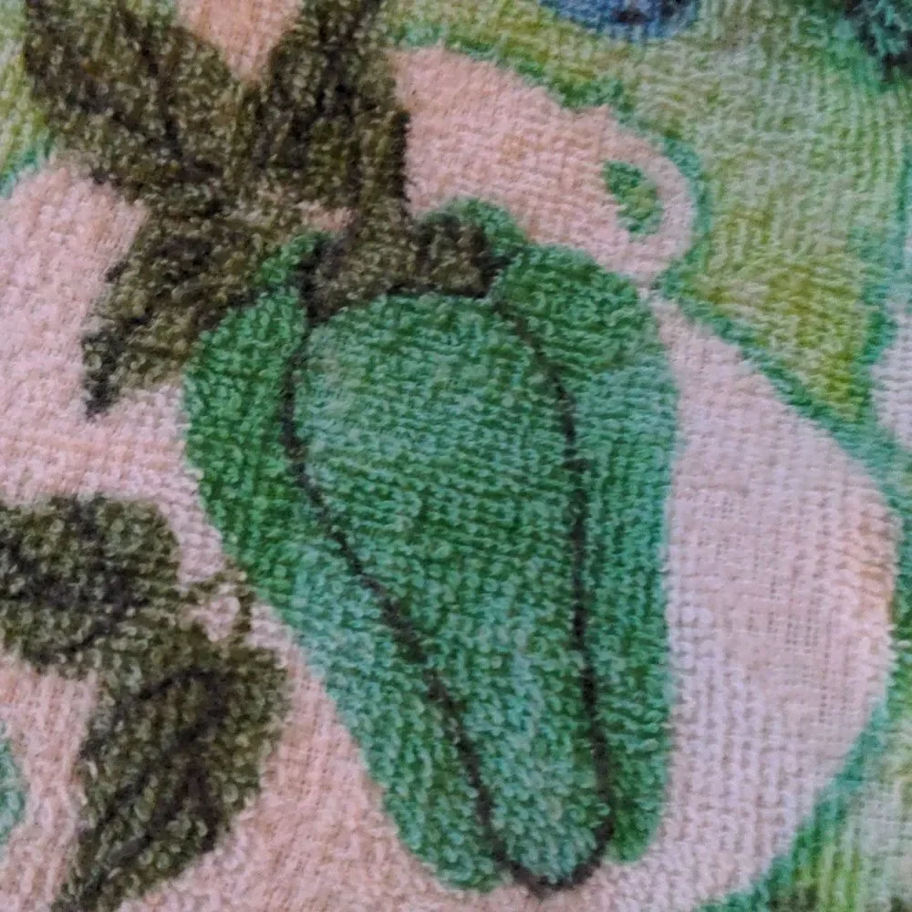 Vintage fruit vegetable